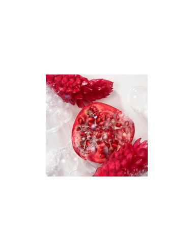 ROGER GALLET CREMA DE MANOS GIN ROUGE 30ML