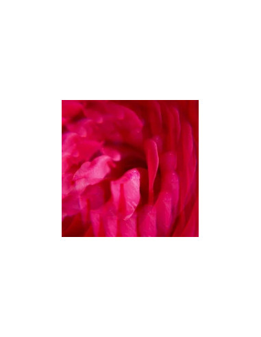 ROGER GALLET EAU FRAICHE OSMANTUS 30ML