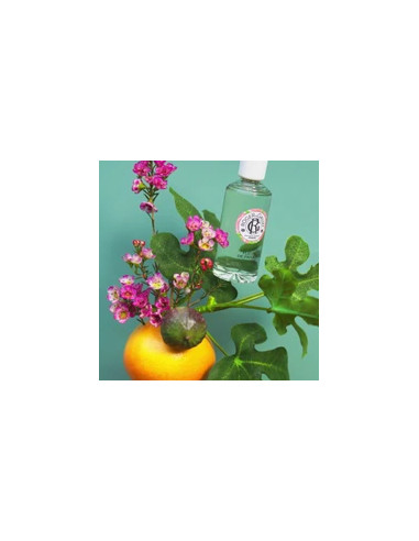 ROGER GALLET EAU FRAICHE THE VERT 30ML