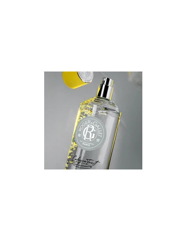 ROGER GALLET CREMA DE MANOS GIN ROUGE 30ML