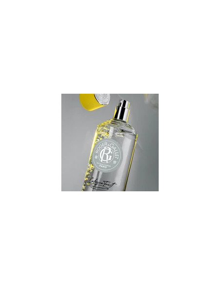 ROGER GALLET CREMA DE MANOS GIN ROUGE 30ML