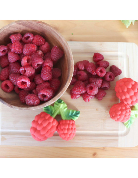 OLI & CAROL MORDEDOR VALERY THE RASPEBERRY 1 UNIDAD