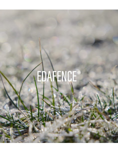 ENDOCARE C FERULIC EDAFENCE SERUM ANTIPOLUCION ANTIOXIDANTE REGENERADOR 30 ML