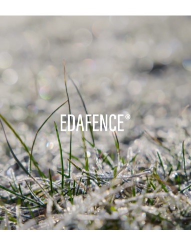 ENDOCARE C FERULIC EDAFENCE SERUM ANTIPOLUCION ANTIOXIDANTE REGENERADOR 30 ML
