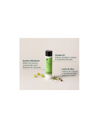 TARA ACONDICIONADOR DESIFICANTE ROMERO + PEPTIDOS  267ML