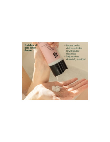 TARA ACONDICIONADOR CEBOLLA 267ML