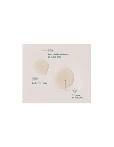 TARA SERUM FOLICULOESTIMULANTE CUERO CABELLUDO CEBOLLA 50ML