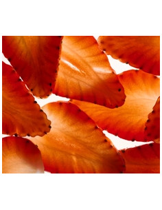 TARA ACONDICIONADOR HIDRATANTE FRESA + NMF 150ML 2