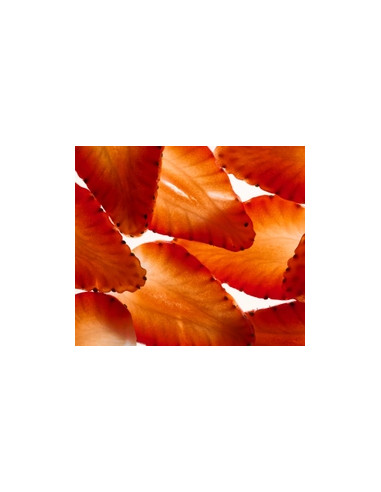 TARA ACONDICIONADOR HIDRATANTE FRESA + NMF 150ML