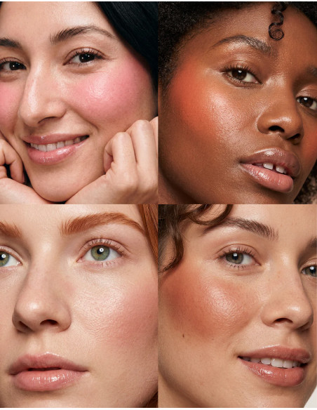 SEGLE STICK BLUSH SPF 50+ 5gr