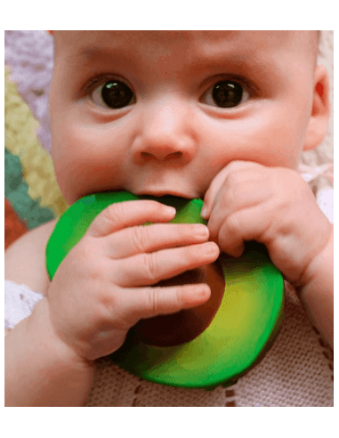 OLI & CAROL MORDEDOR ARNOLD THE AVOCADO 1 UNIDAD