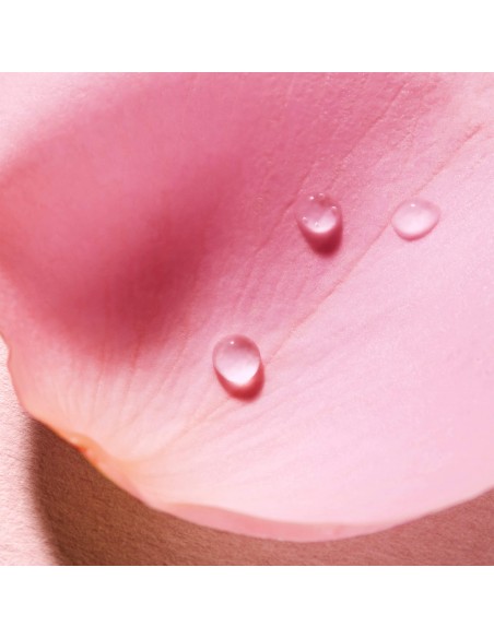 NUXE VERY ROSE AGUA MICELAR ROSTRO 3 EN 1 750 ML