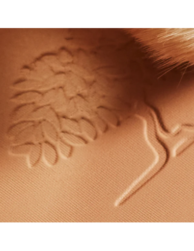 NUXE POLVOS COMPACTOS BRONCEADORES 25g